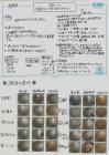 2023shiwa03.jpg